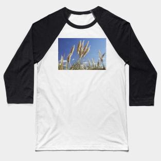 Pampas Grass - Reserva Ecologica Costanera Sur, Buenos Aries Baseball T-Shirt